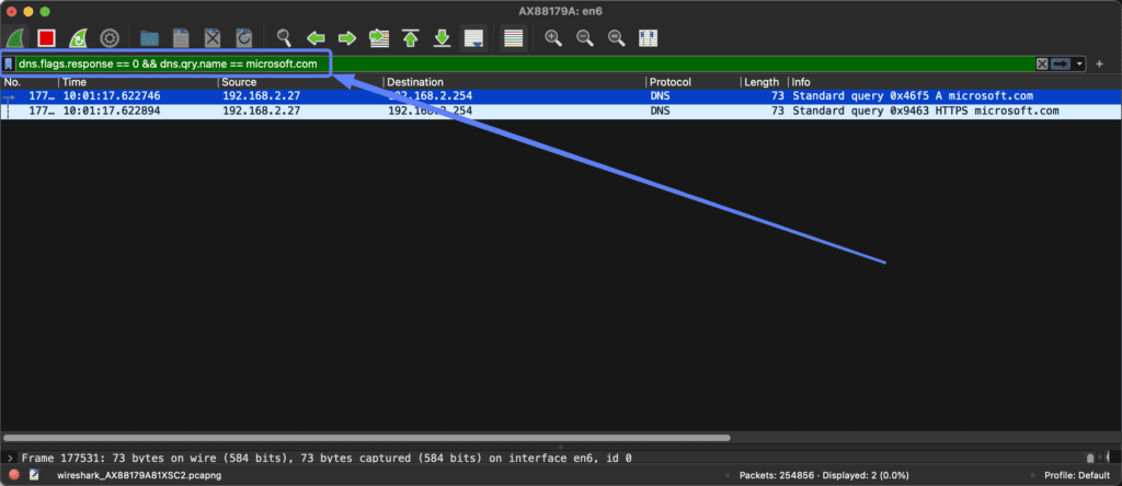 An image showing how to filter on DNS requests.